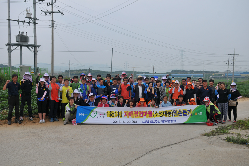 직원 "농촌 일손 돕기" 대표 이미지