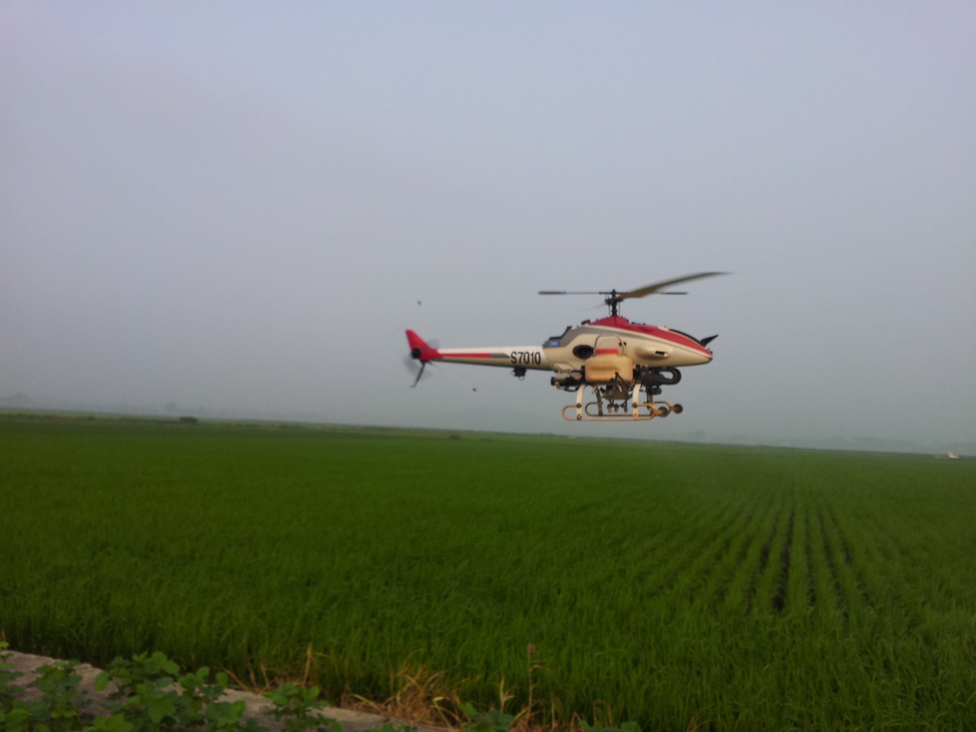 2013년 7월 25-26일 고부 , 영원 단풍미인단지를 중심으로 무인 항공방제를 실시하였습니다. 대표 이미지